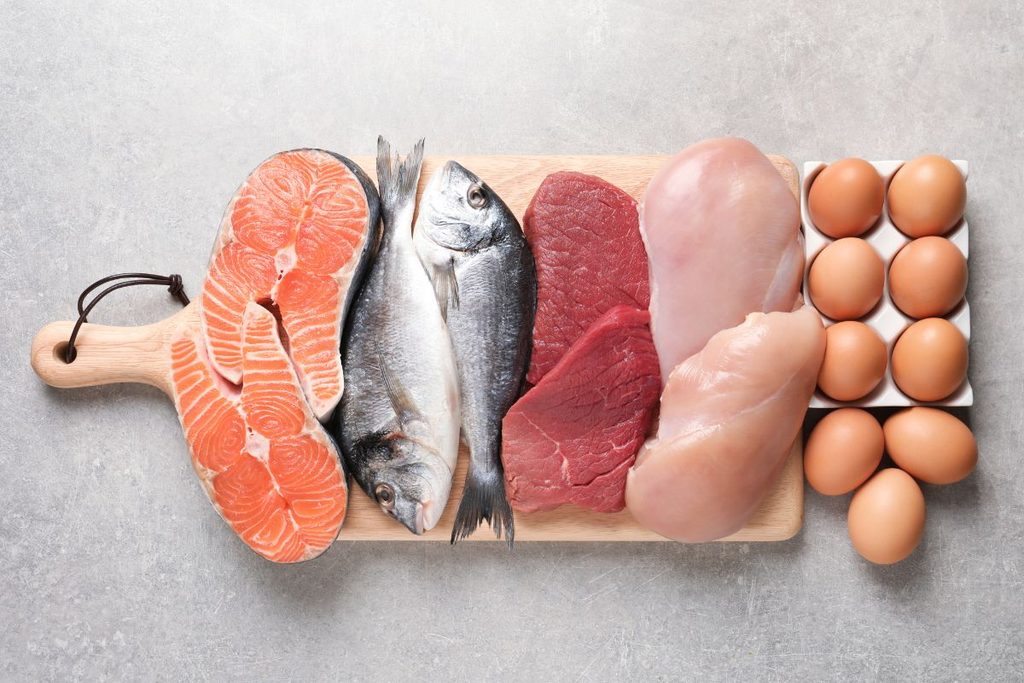 Animal, Fish, Sea Life