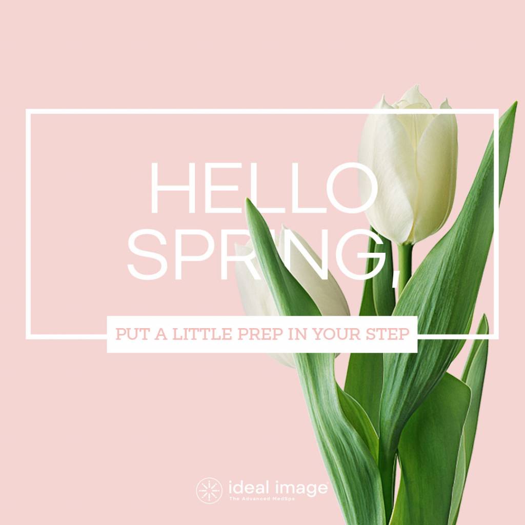 Hello spring - flower