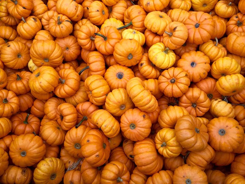 Consuming pumpkin, and using it as an ingredient in exfoliant, can make your complexion more youthful.
