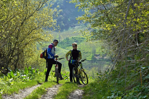 two men on bikes in wilderness